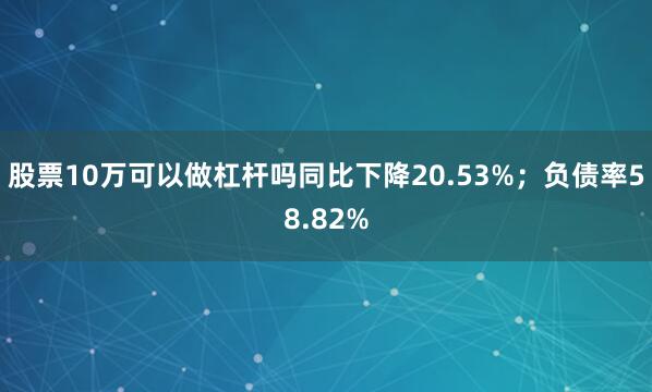 股票10万可以做杠杆吗同比下降20.53%；负债率58.82%