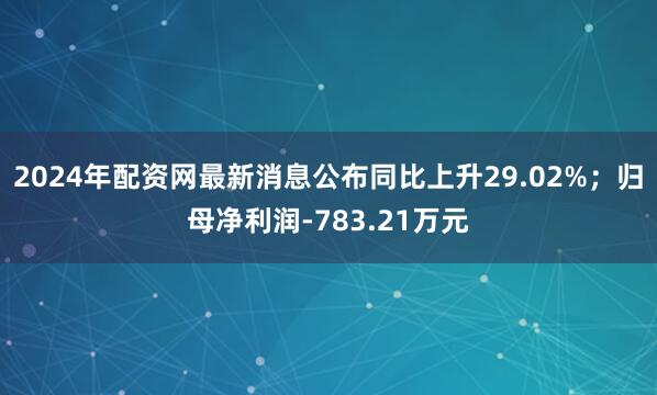 2024年配资网最新消息公布同比上升29.02%；归母净利润-783.21万元