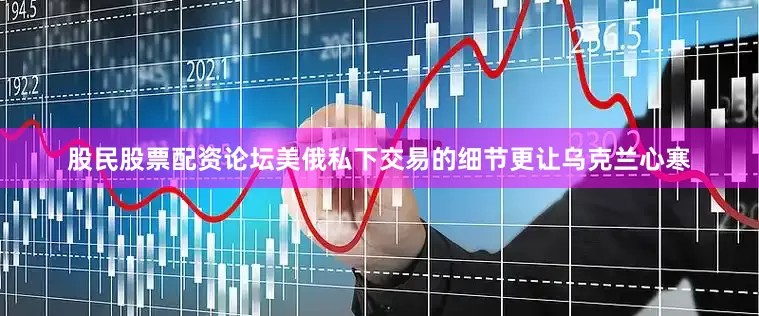 股民股票配资论坛美俄私下交易的细节更让乌克兰心寒
